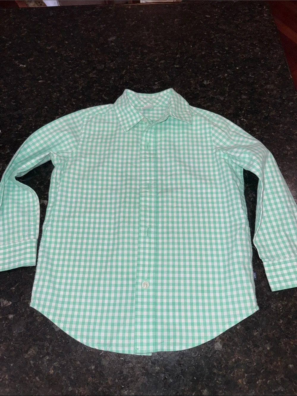 GAP Mint Green Gingham Button-Down Shirt